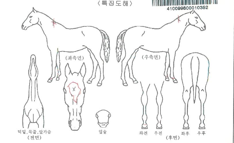 ���������� ����,���,�޸�,�λ�,�ٸ��� Ư¡����