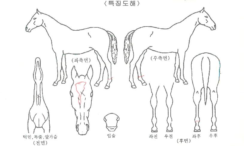 �����ǽ��ǵ��� ����,���,�޸�,�λ�,�ٸ��� Ư¡����