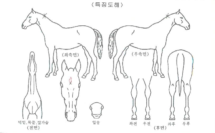 ��������� ����,���,�޸�,�λ�,�ٸ��� Ư¡����