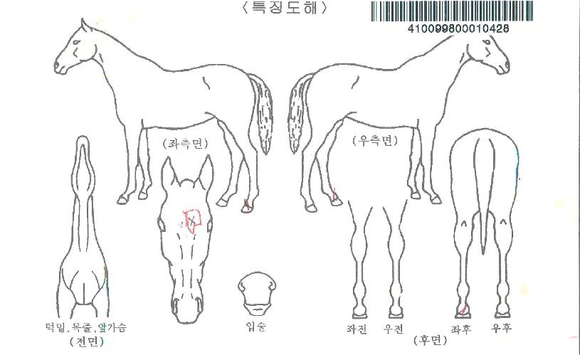 ���κ������� ����,���,�޸�,�λ�,�ٸ��� Ư¡����