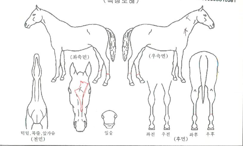 ��������̵��� ����,���,�޸�,�λ�,�ٸ��� Ư¡����