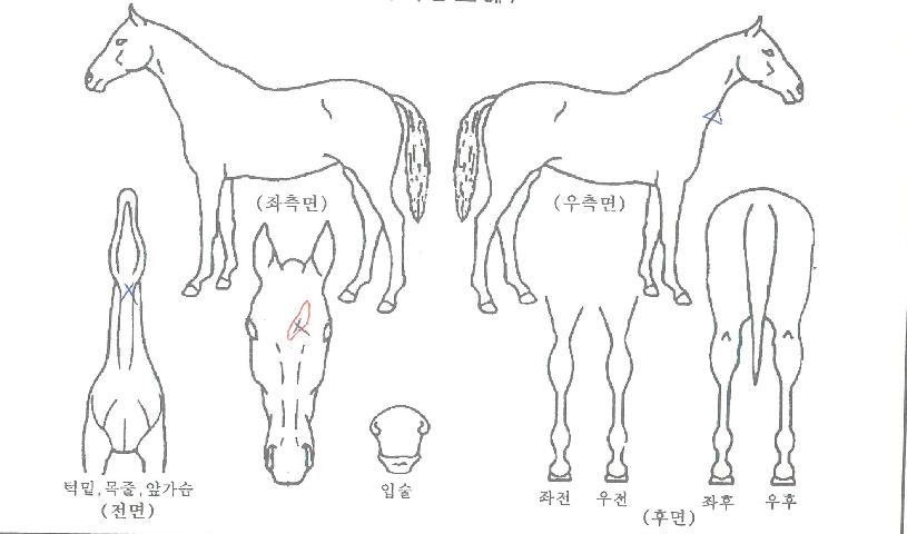 û����ũ�� ����,���,�޸�,�λ�,�ٸ��� Ư¡����