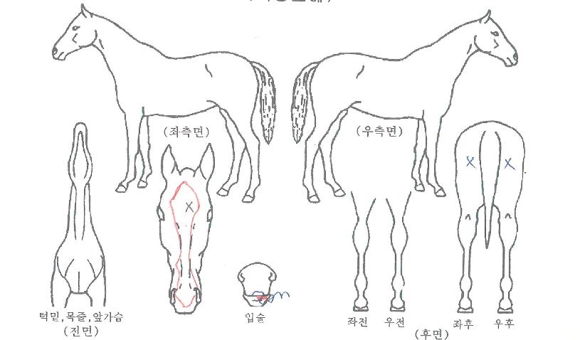 �Ѽ������� ����,���,�޸�,�λ�,�ٸ��� Ư¡����