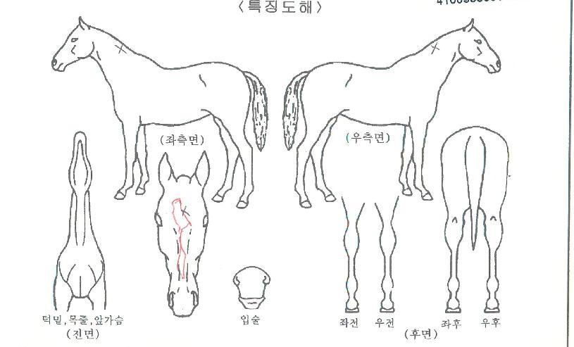 �׹�����Ʈ�� ����,���,�޸�,�λ�,�ٸ��� Ư¡����