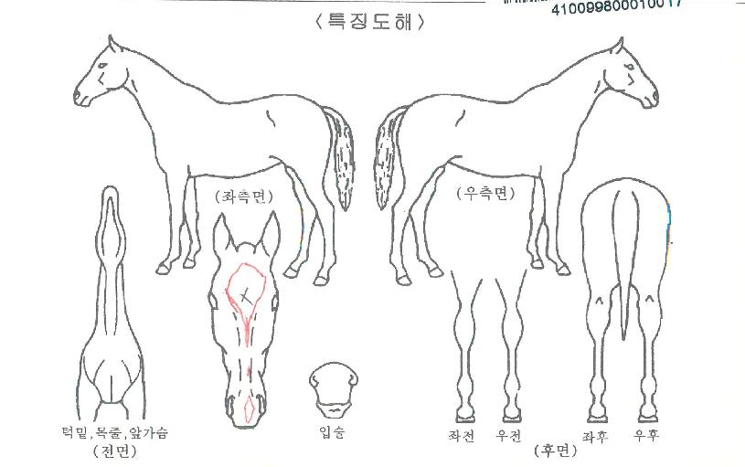 ¿ø´õÇ÷¹À̽ºÀÇ Ãø¸é,¿ì¸é,µÞ¸é,µÎ»ó,´Ù¸®ÀÇ Æ¯Â¡µµÇØ