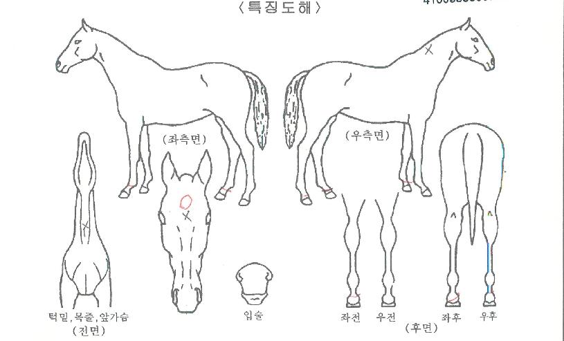 °øÀÛ¿ÕÀÇ Ãø¸é,¿ì¸é,µÞ¸é,µÎ»ó,´Ù¸®ÀÇ Æ¯Â¡µµÇØ