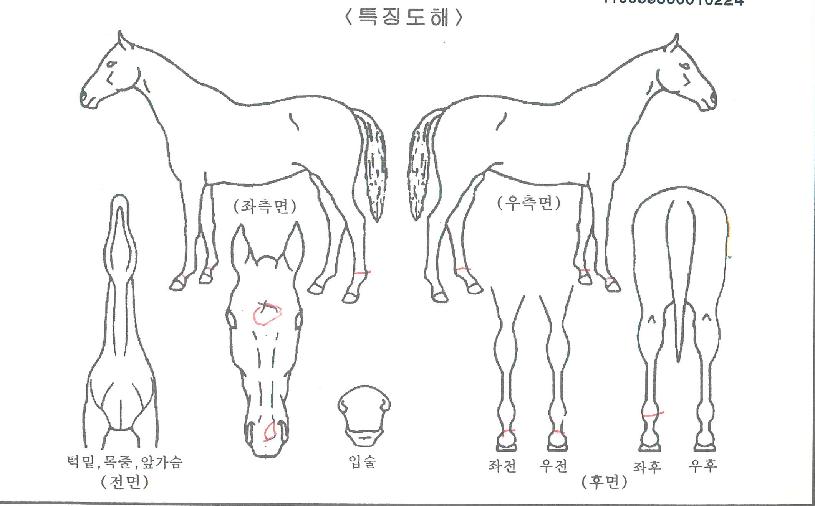 ���̿����� ����,���,�޸�,�λ�,�ٸ��� Ư¡����