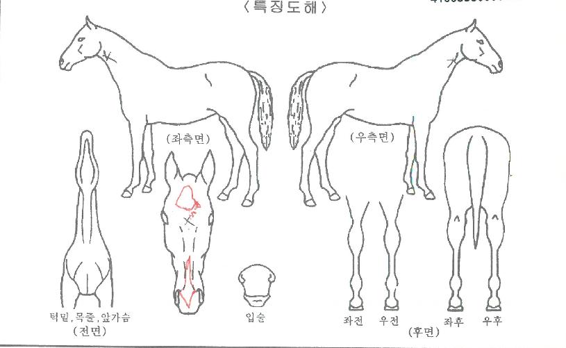 �������̳ʸ��� ����,���,�޸�,�λ�,�ٸ��� Ư¡����