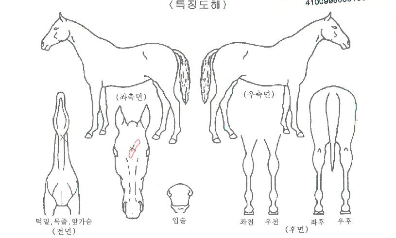 ����Ǯ������ ����,���,�޸�,�λ�,�ٸ��� Ư¡����