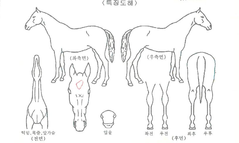 ���ƽý����� ����,���,�޸�,�λ�,�ٸ��� Ư¡����