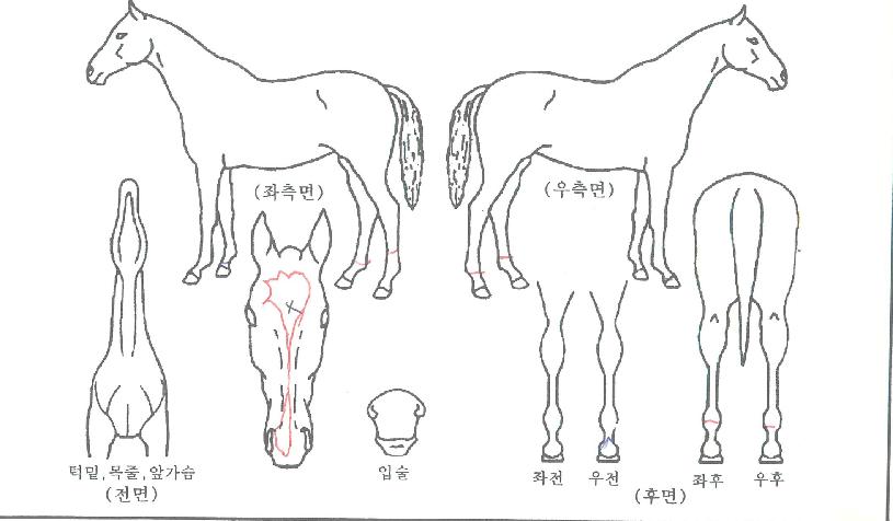 ��������� ����,���,�޸�,�λ�,�ٸ��� Ư¡����