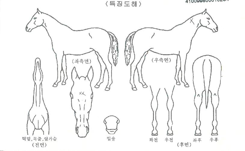 �ƽ������ ����,���,�޸�,�λ�,�ٸ��� Ư¡����