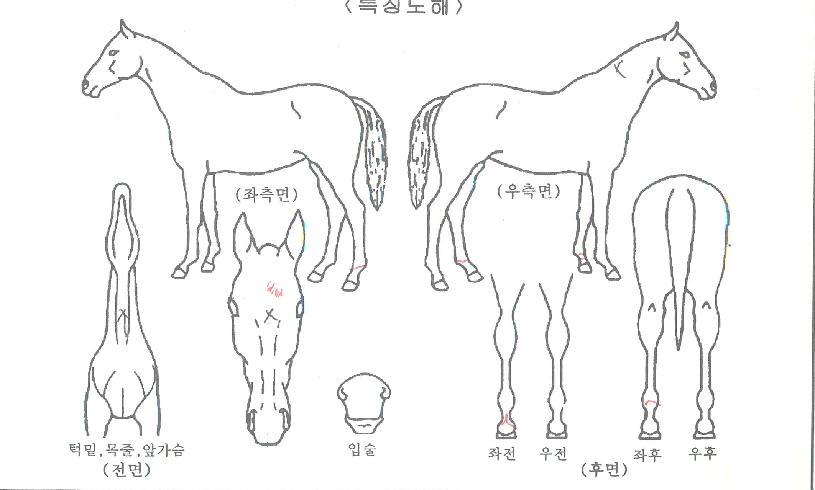 õ���ɹٶ��� ����,���,�޸�,�λ�,�ٸ��� Ư¡����