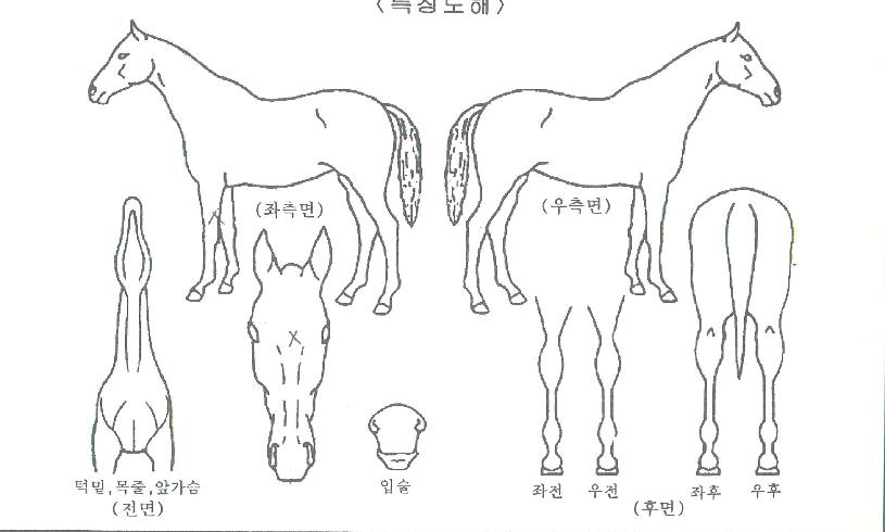 ��ǳõ���� ����,���,�޸�,�λ�,�ٸ��� Ư¡����