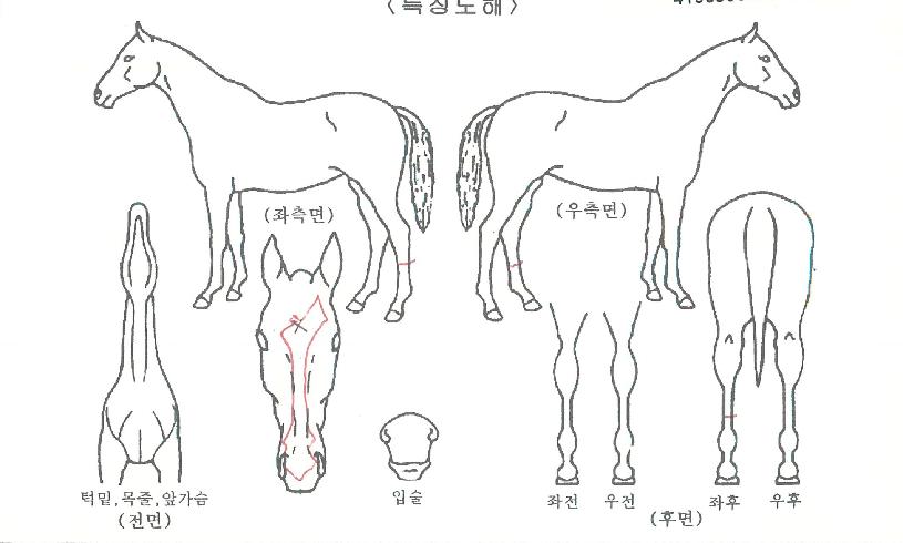 �α⿭���� ����,���,�޸�,�λ�,�ٸ��� Ư¡����