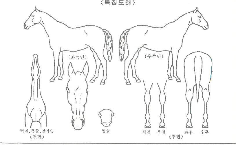 ����Ǯ������ ����,���,�޸�,�λ�,�ٸ��� Ư¡����