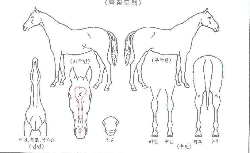 ���ʹ����� ����,���,�޸�,�λ�,�ٸ��� Ư¡����