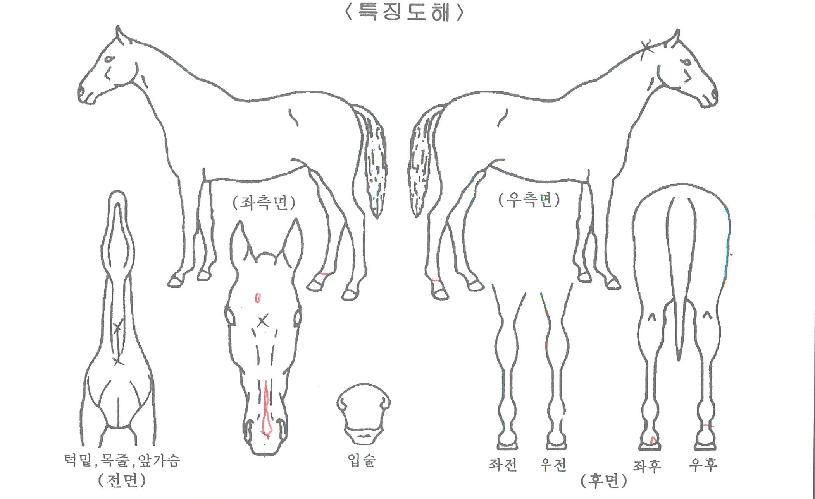 ����Ǯ�������� ����,���,�޸�,�λ�,�ٸ��� Ư¡����