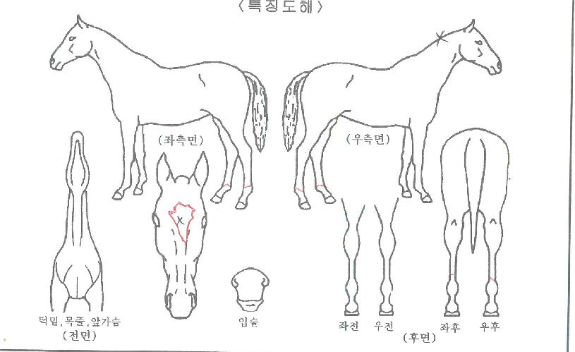 ����Ǯ����� ����,���,�޸�,�λ�,�ٸ��� Ư¡����