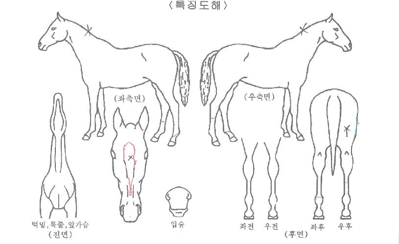 ����Ǯ��Ű���� ����,���,�޸�,�λ�,�ٸ��� Ư¡����