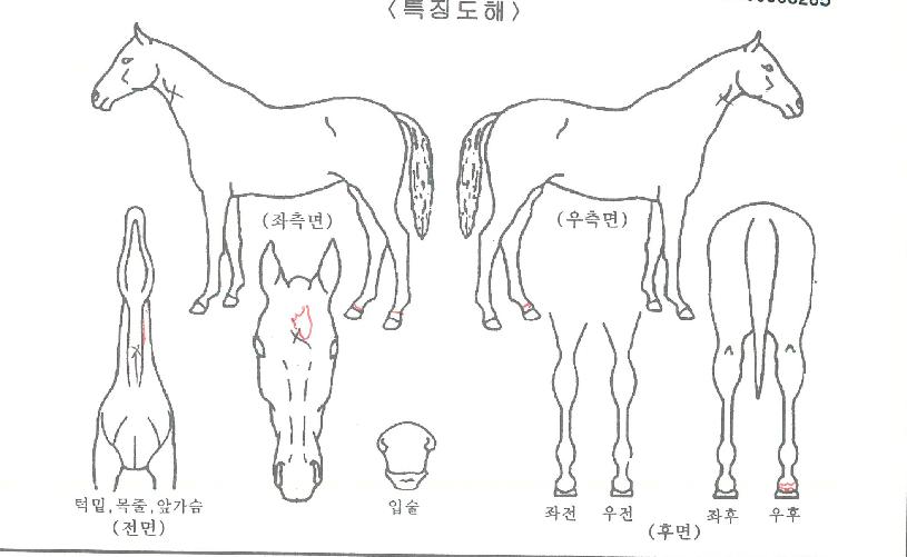 ����ι����� ����,���,�޸�,�λ�,�ٸ��� Ư¡����