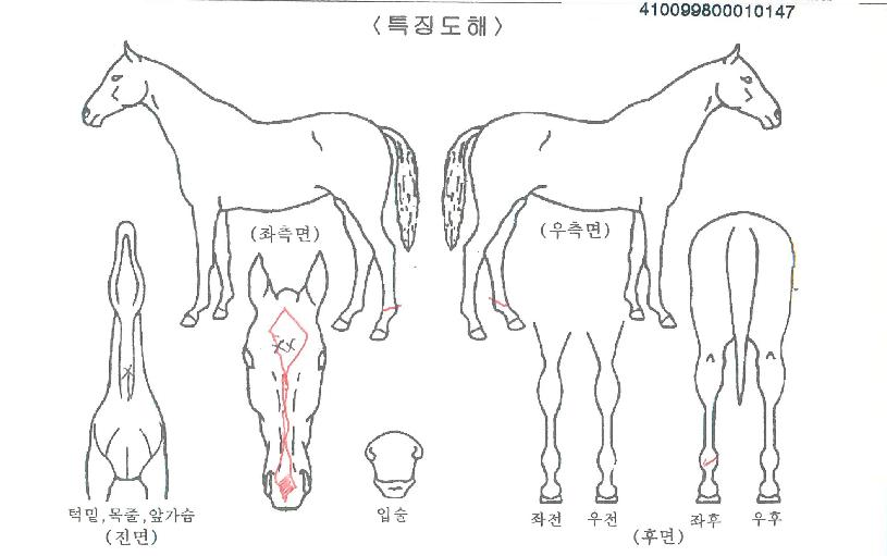 ���̽������� ����,���,�޸�,�λ�,�ٸ��� Ư¡����