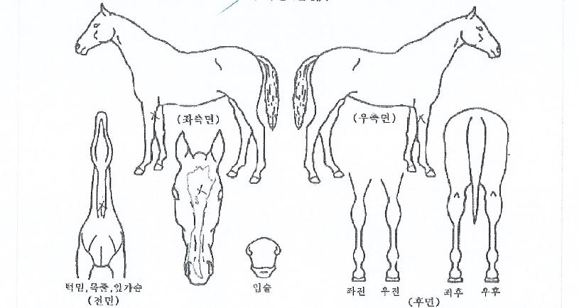 �ѹ���Ÿ���� ����,���,�޸�,�λ�,�ٸ��� Ư¡����