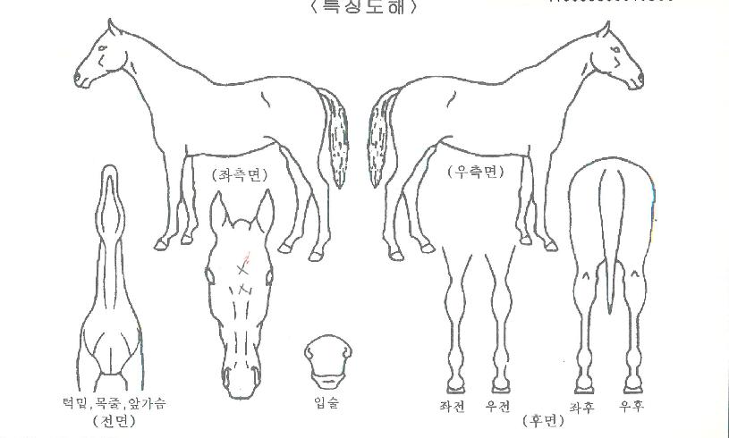 �ϱ��ȣ�� ����,���,�޸�,�λ�,�ٸ��� Ư¡����