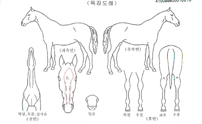 �����ݼ��� ����,���,�޸�,�λ�,�ٸ��� Ư¡����