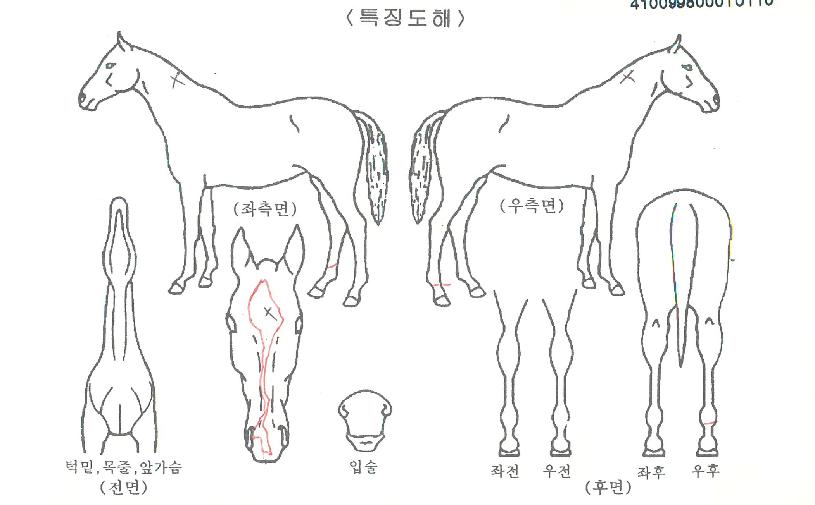 ��������� ����,���,�޸�,�λ�,�ٸ��� Ư¡����