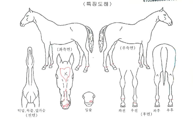 ���ڹ��� ����,���,�޸�,�λ�,�ٸ��� Ư¡����