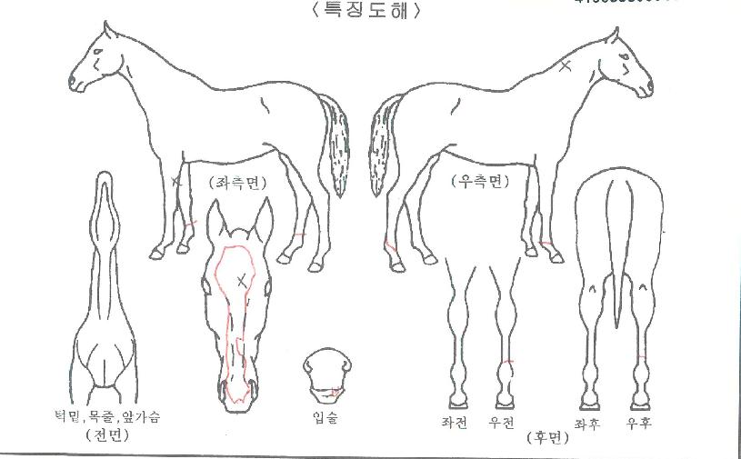ÇϹٳªÁ¦ÀÎÀÇ Ãø¸é,¿ì¸é,µÞ¸é,µÎ»ó,´Ù¸®ÀÇ Æ¯Â¡µµÇØ