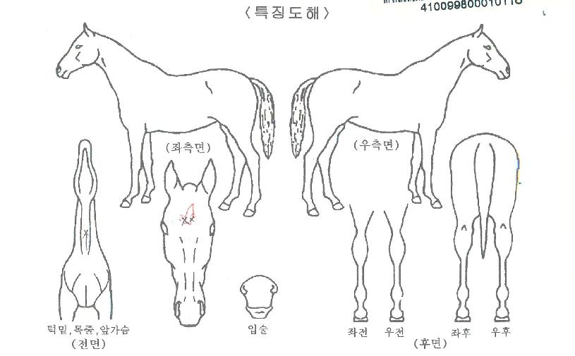 ���������� ����,���,�޸�,�λ�,�ٸ��� Ư¡����