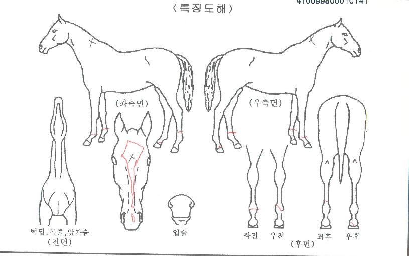 ������Ʈ�� ����,���,�޸�,�λ�,�ٸ��� Ư¡����