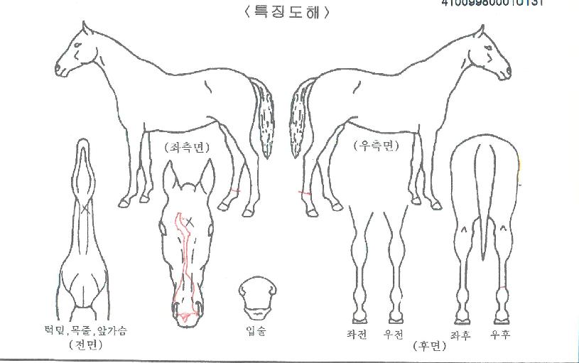 ���þ��ǹ��ڸ��� ����,���,�޸�,�λ�,�ٸ��� Ư¡����