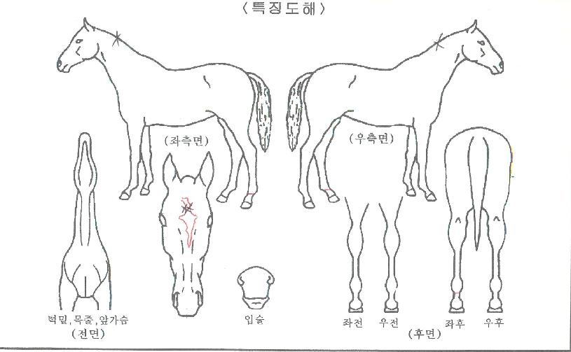 �������� ����,���,�޸�,�λ�,�ٸ��� Ư¡����