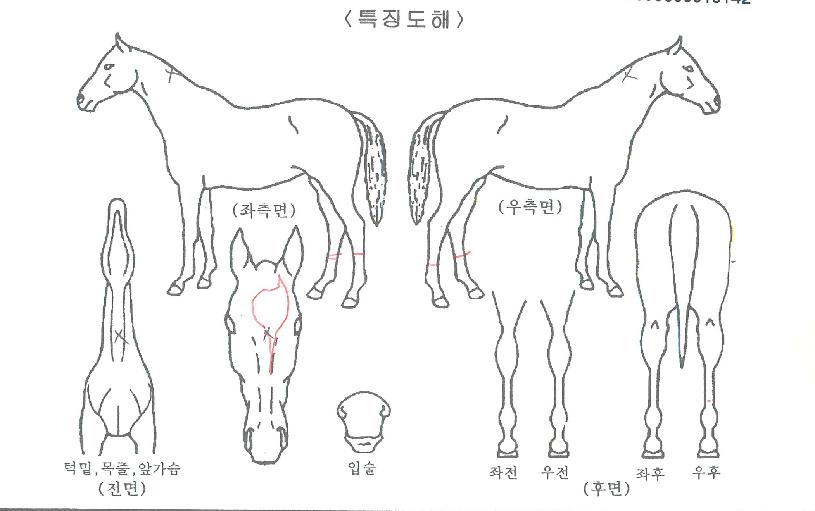 Ʈ���������� ����,���,�޸�,�λ�,�ٸ��� Ư¡����