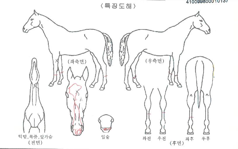 Ƽ���� ����,���,�޸�,�λ�,�ٸ��� Ư¡����