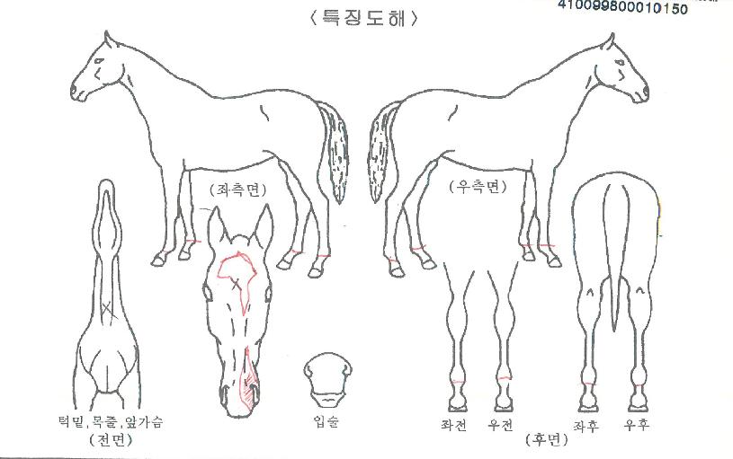 ���������̵��� ����,���,�޸�,�λ�,�ٸ��� Ư¡����