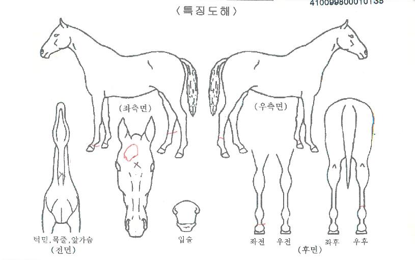 �λ꿡�̽��� ����,���,�޸�,�λ�,�ٸ��� Ư¡����