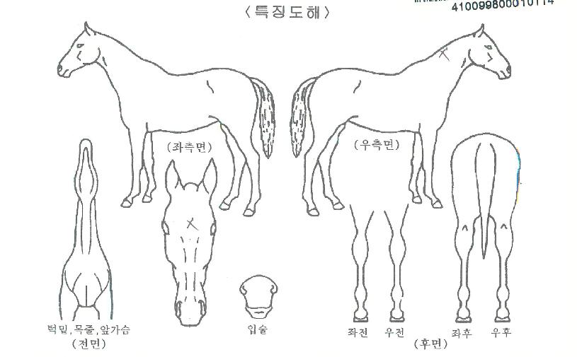 ������������ ����,���,�޸�,�λ�,�ٸ��� Ư¡����