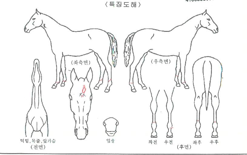 �������� ����,���,�޸�,�λ�,�ٸ��� Ư¡����