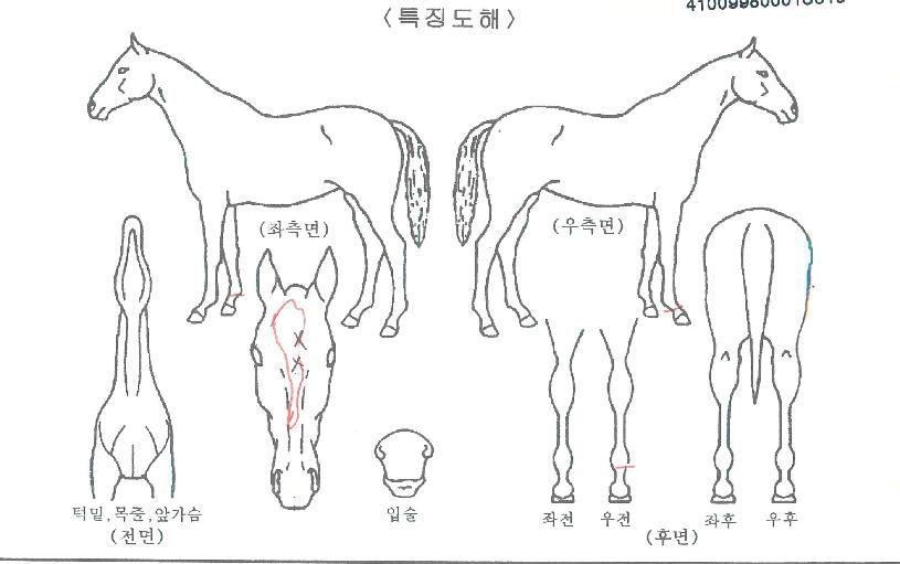 ���͵��̳��������ڸ��� ����,���,�޸�,�λ�,�ٸ��� Ư¡����