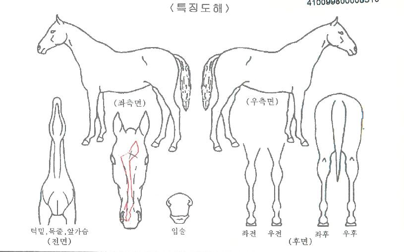 �ǽ����� ����,���,�޸�,�λ�,�ٸ��� Ư¡����