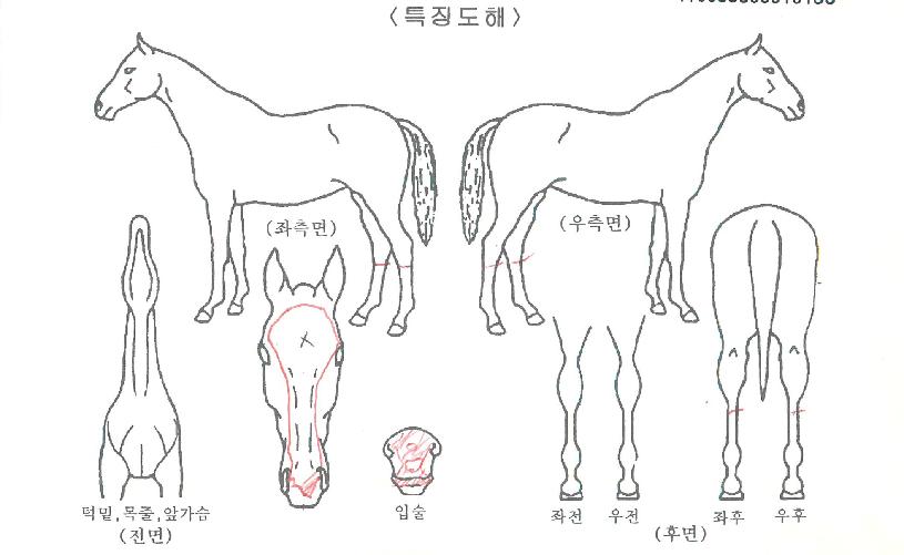 �κ��������� ����,���,�޸�,�λ�,�ٸ��� Ư¡����