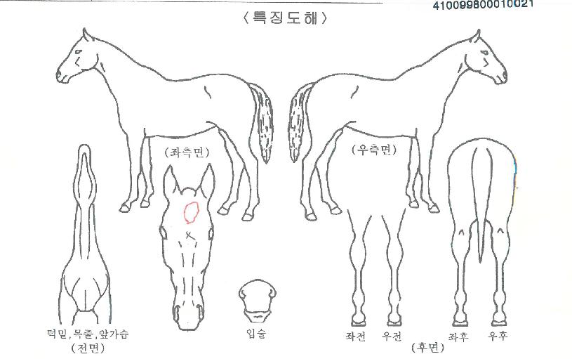 Ű�÷��̾��� ����,���,�޸�,�λ�,�ٸ��� Ư¡����