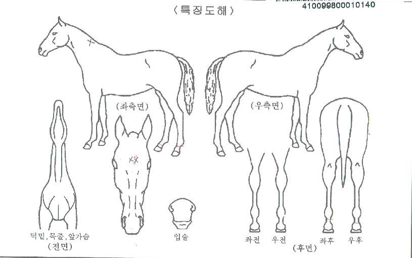 ·¯ºêÀ§µå¹ÌÀÇ Ãø¸é,¿ì¸é,µÞ¸é,µÎ»ó,´Ù¸®ÀÇ Æ¯Â¡µµÇØ