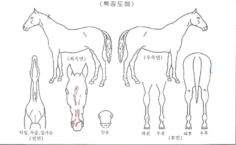 �����̽�ĵ���� ����,���,�޸�,�λ�,�ٸ��� Ư¡����