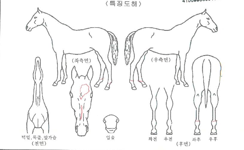 ������� ����,���,�޸�,�λ�,�ٸ��� Ư¡����