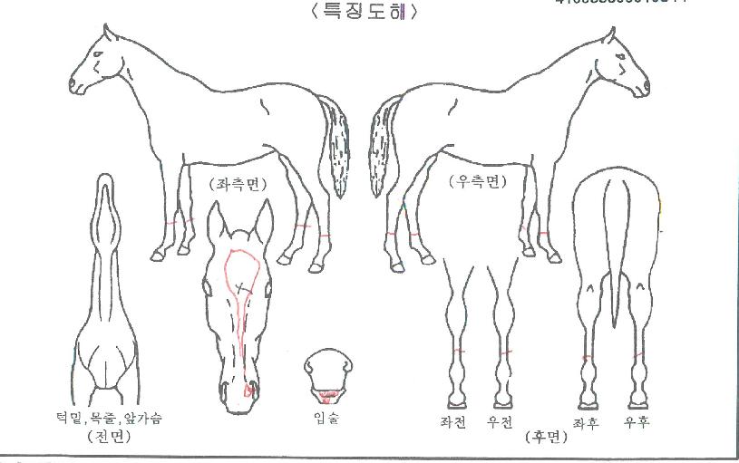 ��������Ʈ�� ����,���,�޸�,�λ�,�ٸ��� Ư¡����